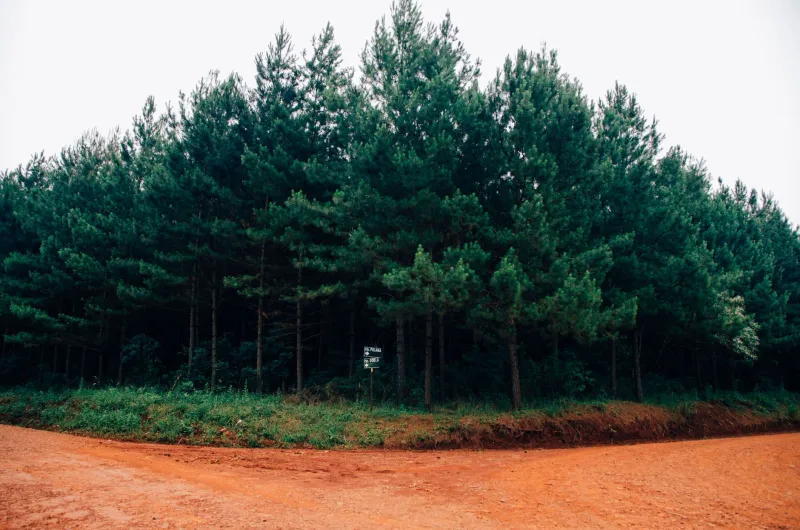 Stop Measuring Your Path Against Someone Else's Map